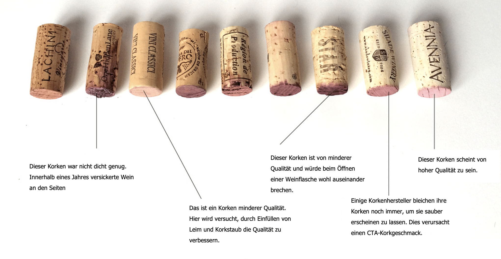 Wein lagern mit dem richtigen Korken